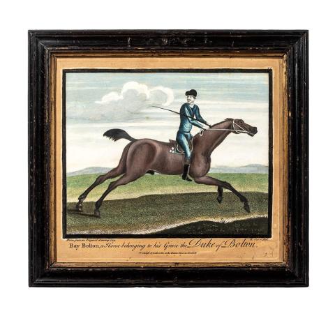 1959.3591 race horse