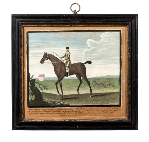 1959.3596 race horse