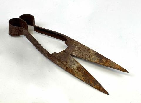 2020.101 sheep shears