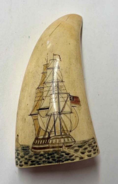 1959.3612 scrimshaw