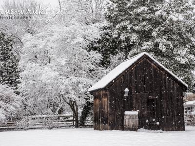 Jane Mruk Photography