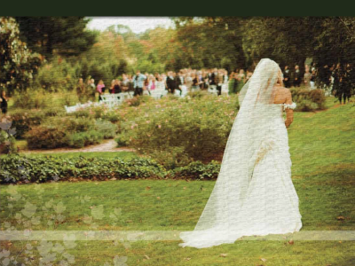 Weddings and Events
