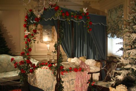 The Classic Fairytale: Sleeping Beauty