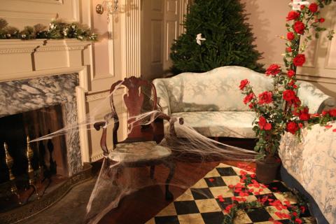 The Classic Fairytale: Sleeping Beauty