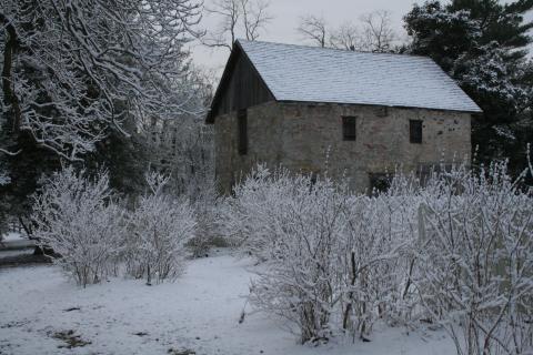 Historic Odessa in the Snow