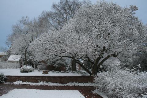 Historic Odessa in the Snow