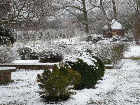 Historic Odessa in the Snow