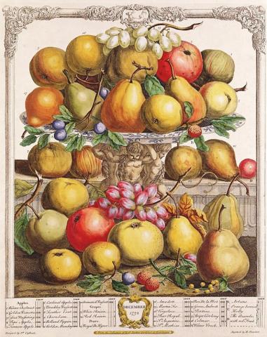 The Twelve Months of Fruits, December, 1732, Robert Furber, England