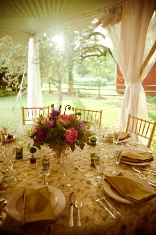 Historic Odessa Wedding Photos