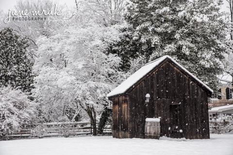 Jane Mruk Photography