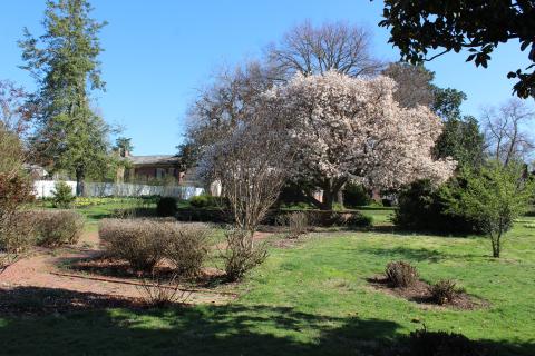 Gardens & Grounds
