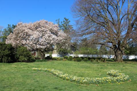 Gardens & Grounds