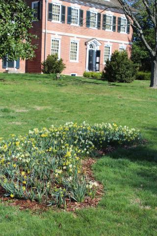 Gardens & Grounds