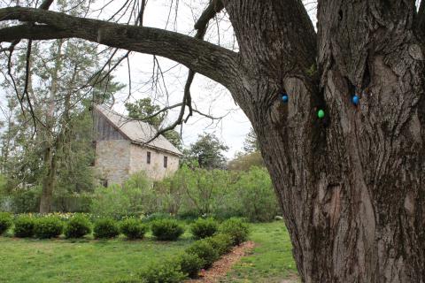 2019 Easter Egg Hunt