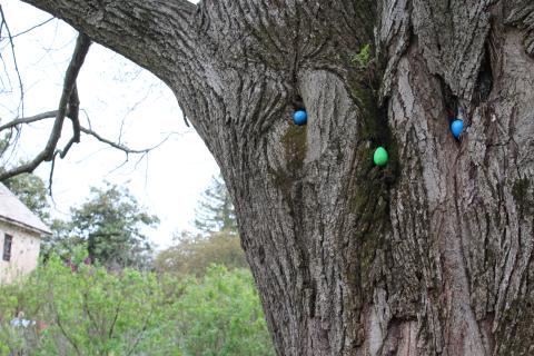 2019 Easter Egg Hunt