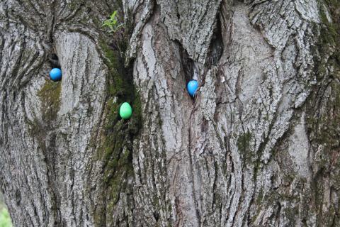 2019 Easter Egg Hunt