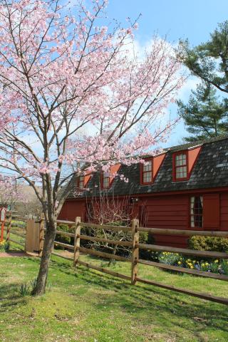 Gardens & Grounds