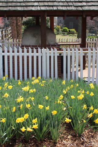 Gardens & Grounds