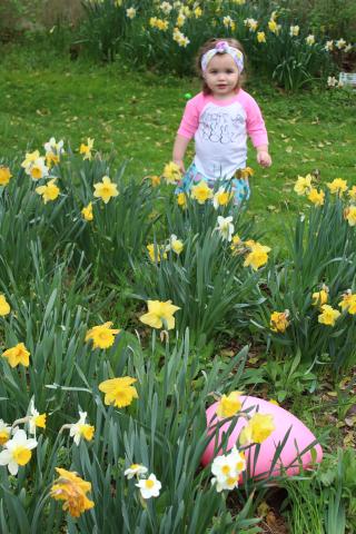 2019 Easter Egg Hunt