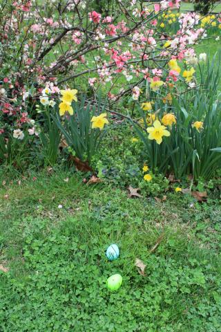 2019 Easter Egg Hunt