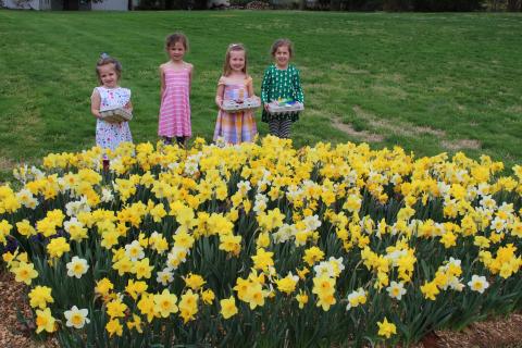2019 Easter Egg Hunt