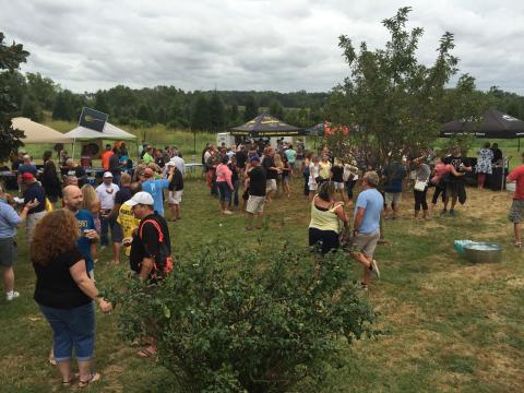 2nd Odessa Brewfest