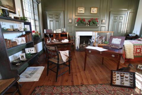 The Tales of Beatrix Potter