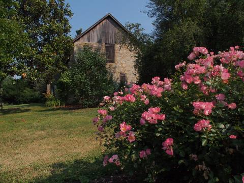 Corbit-Sharp House’s Colonial Revival Garden