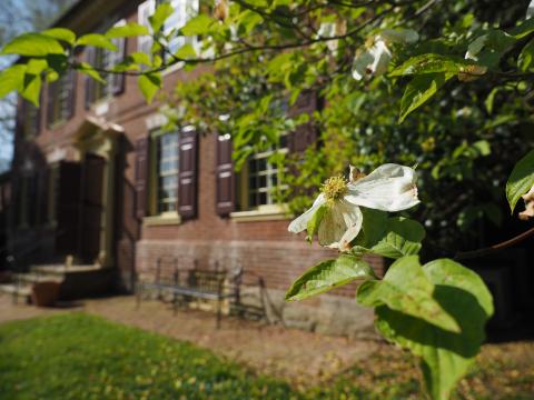 Wilson-Warner House