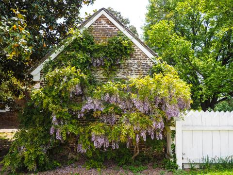 Corbit-Sharp House’s Colonial Revival Garden