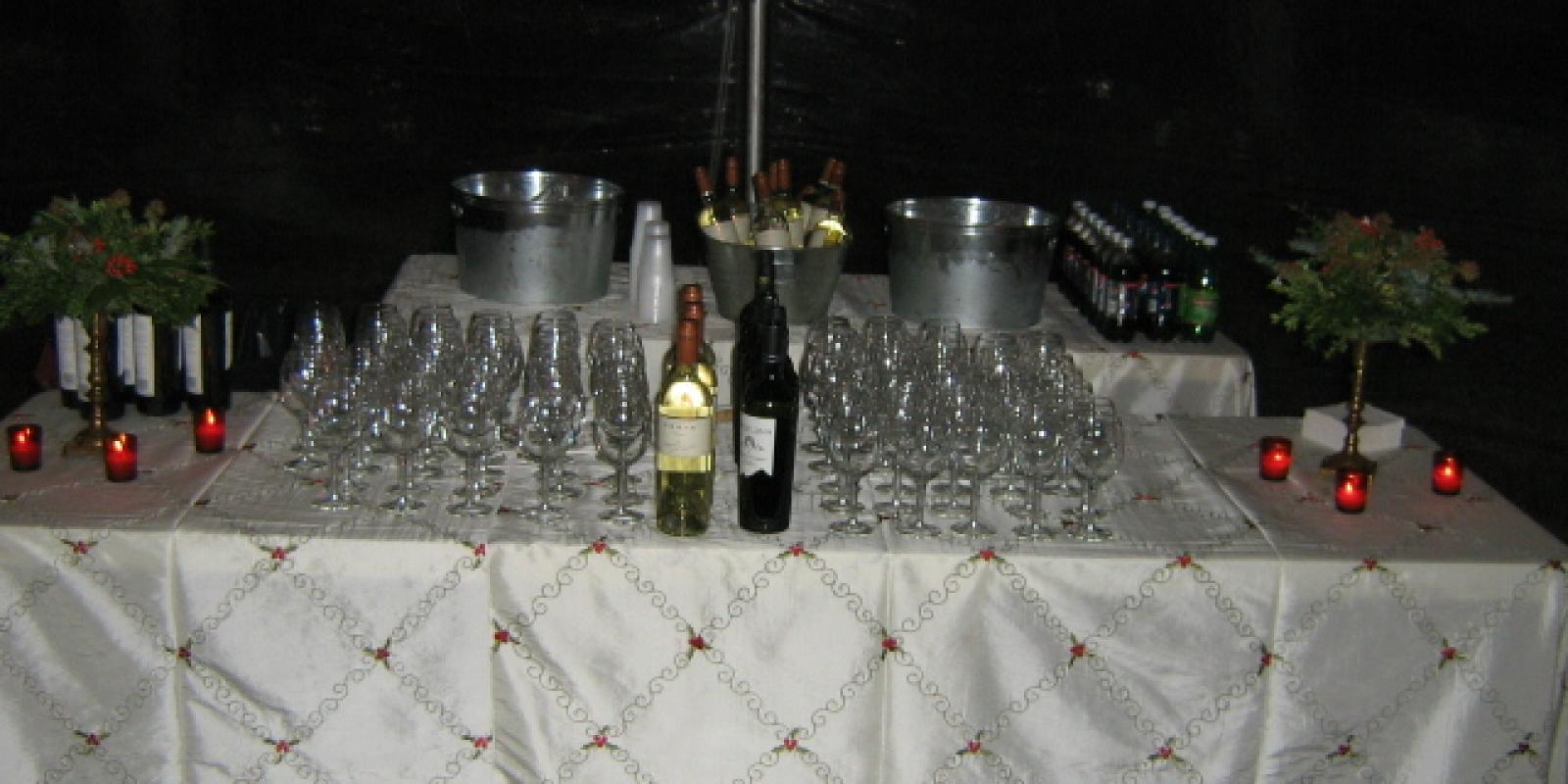 Members Only Celebration of Holiday Exhibit