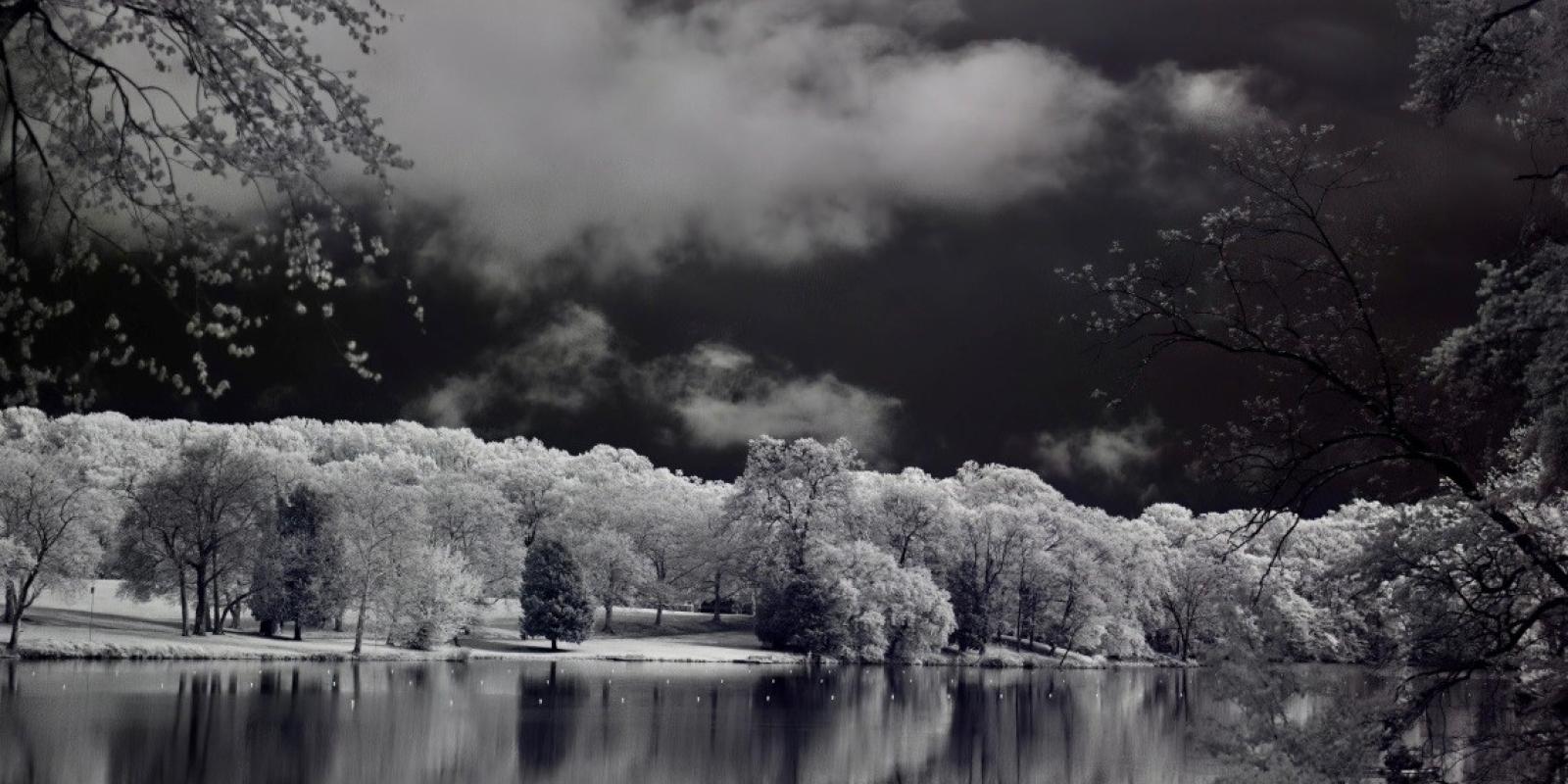 Photography by Avi Gold