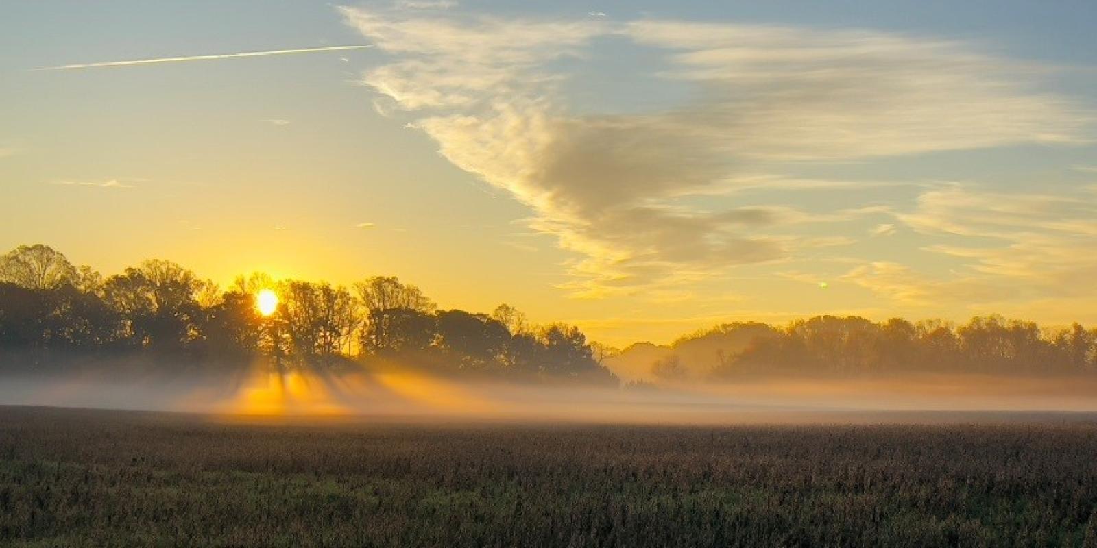 RECEPTION/MEET THE PHOTOGRAPHER