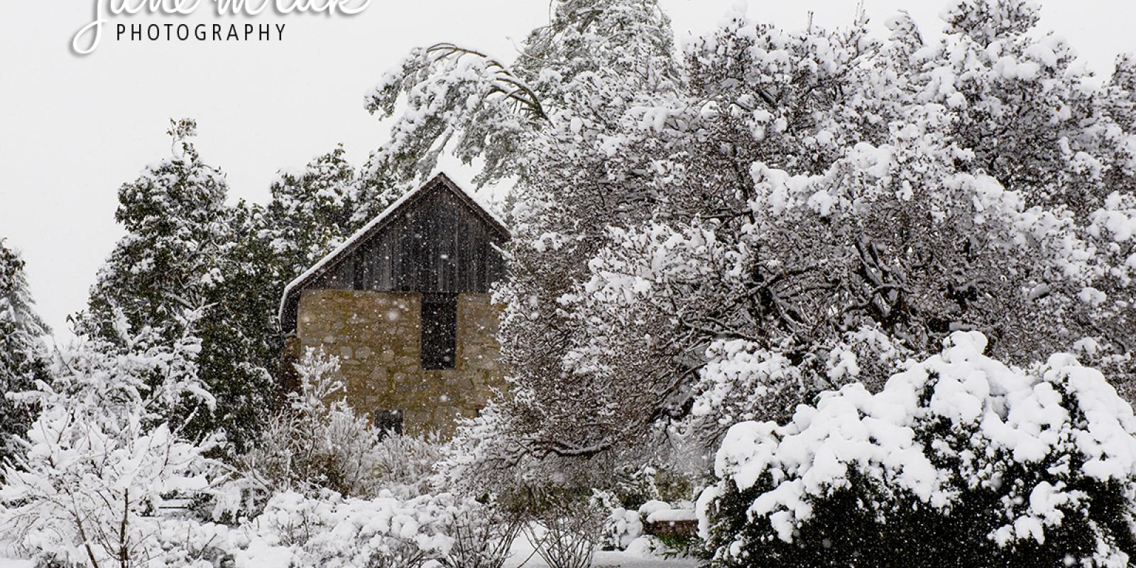 Jane Mruk Photography