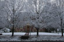 Historic Odessa in the Snow