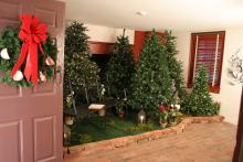 Alice's Adventures in Wonderland