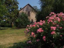 Corbit-Sharp House’s Colonial Revival Garden